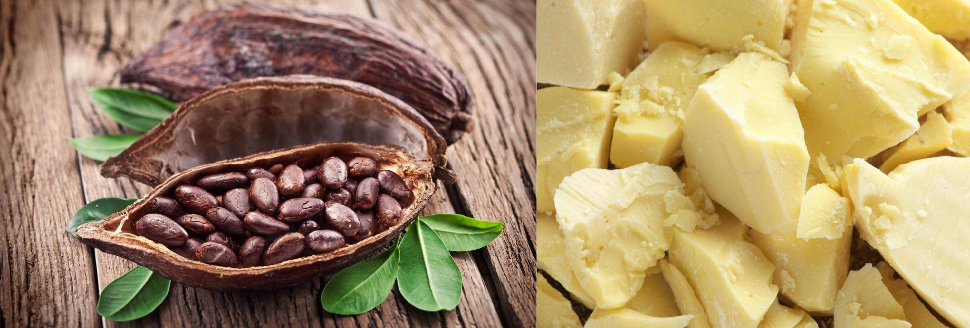 Для чего нужно масло какао в народной медицине