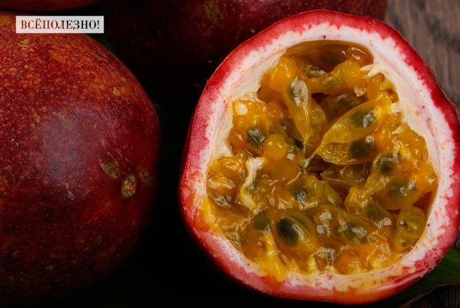 Маракуйя: полезные свойства и вред фрукта