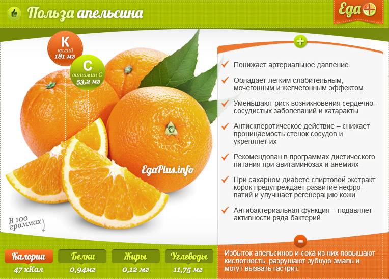 Апельсин: польза и вред для организма человека, калорийность, возможный вред