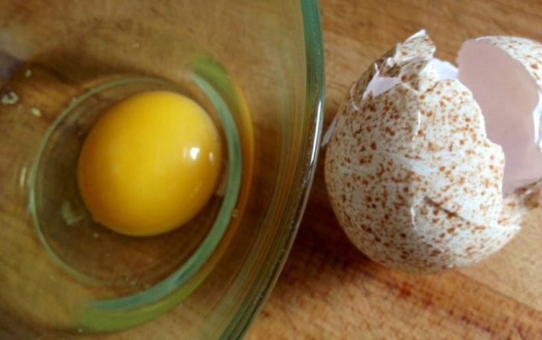 Индюшиные яйца — состав, калорийность, польза и вред