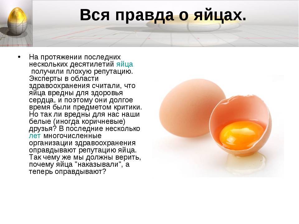 Кому полезно есть куриные яйца, а кому – нет, и почему?