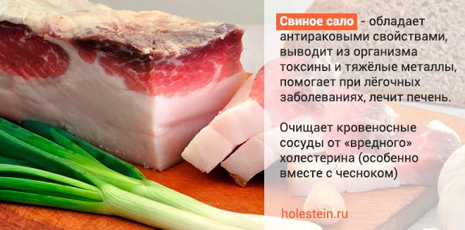 Внутренний свиной жир: польза и вред продукта, правила использования, список противопоказаний