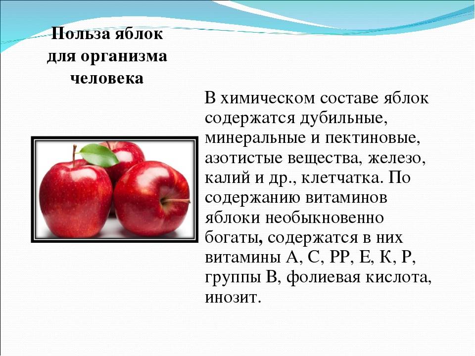 Яблоки: польза и вред. лечение яблоками