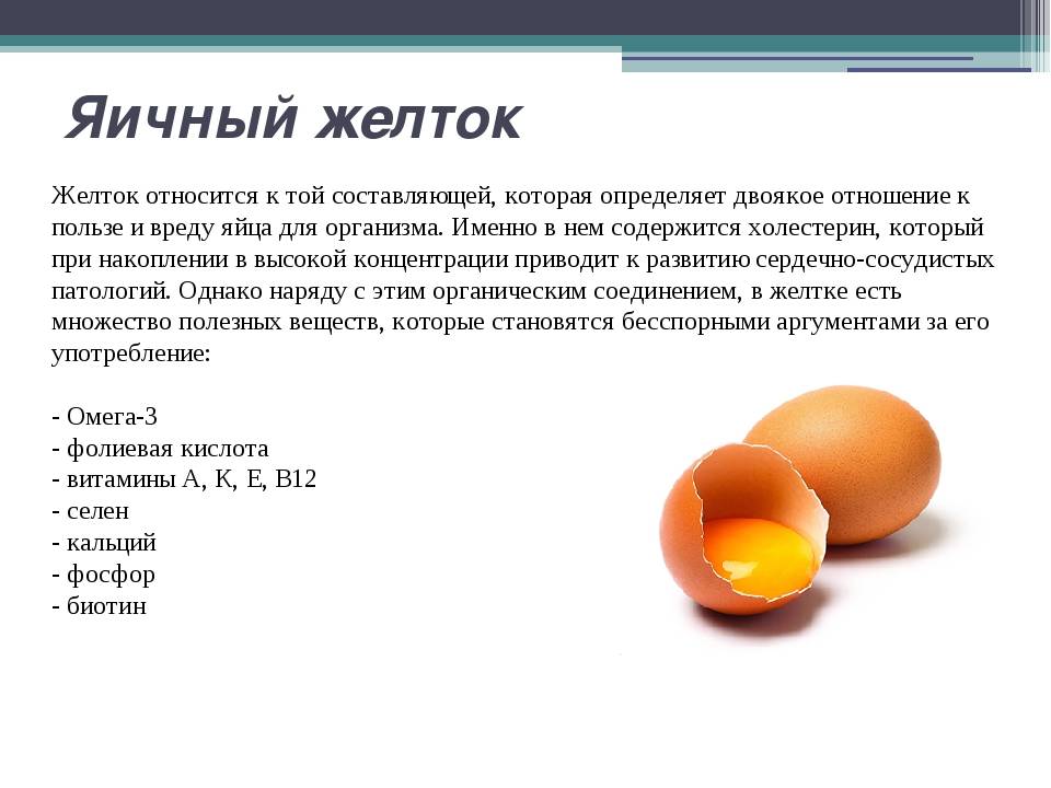 Яйцо куриное, польза и вред для организма человека