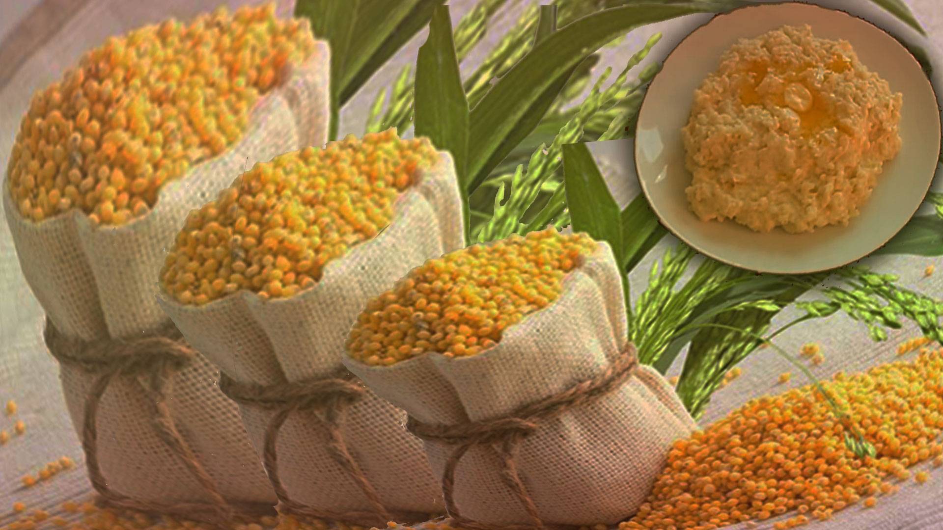 Полезные свойства пшеничной каши? как варить в мультиварке?
