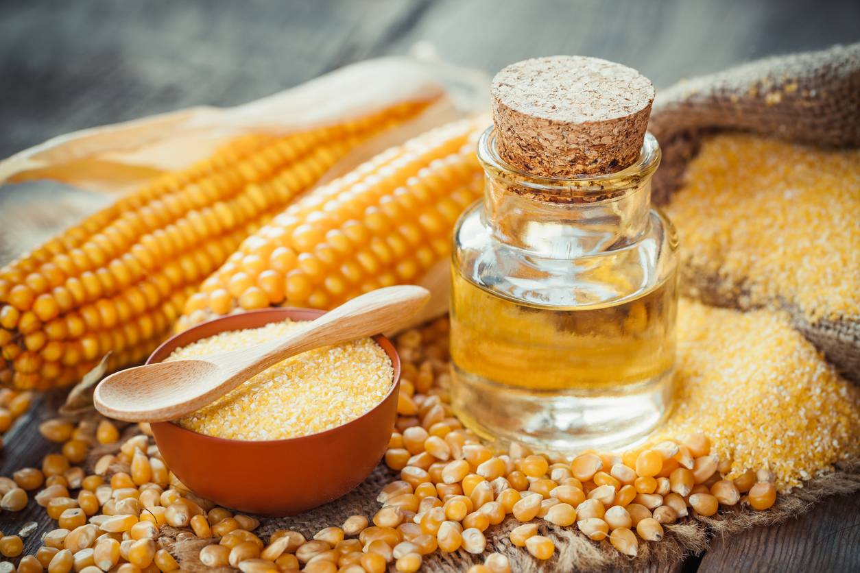 Польза и вред вареной кукурузы для здоровья человека