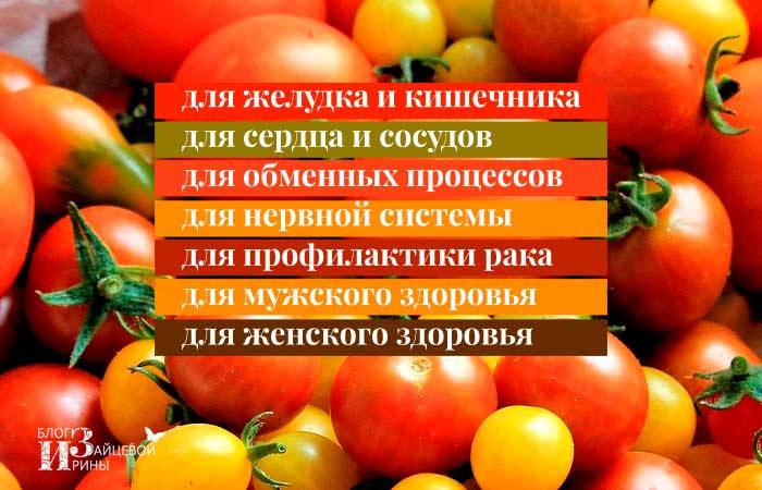 Польза и вред помидоров для здоровья человека