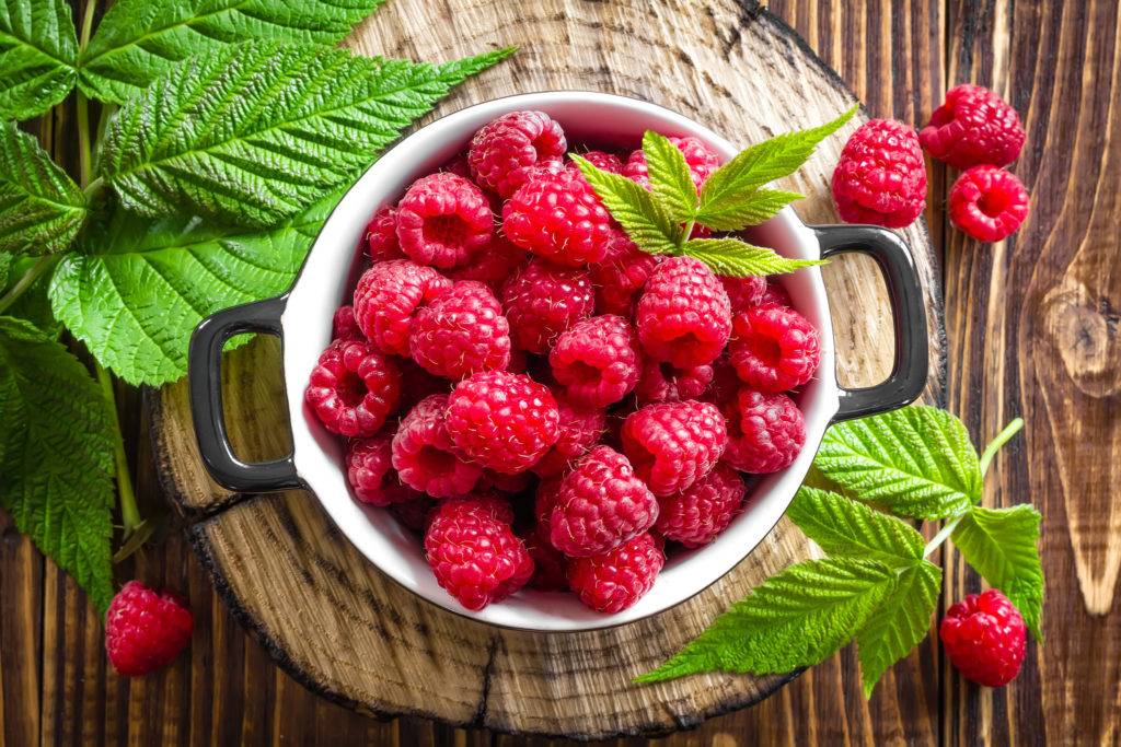 Княженика — описание пользы и вреда, а также лечебных свойств этой ягоды