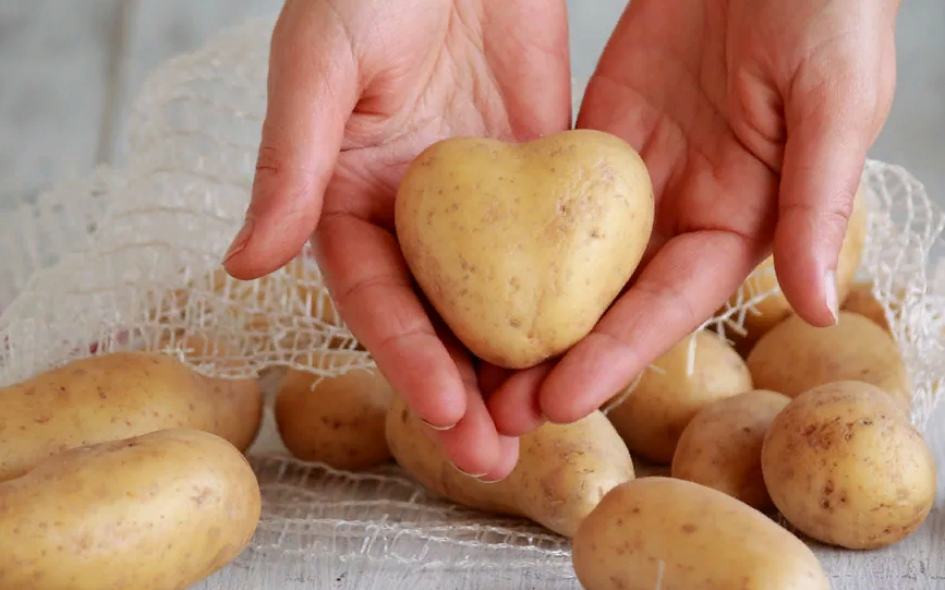 Чем полезен и вреден для организма картофель, особенности приготовления