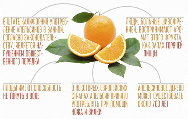 Чем полезен апельсин для организма?