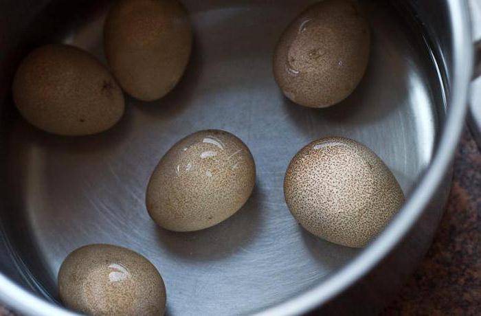 Полезные свойства и противопоказания яиц цесарки