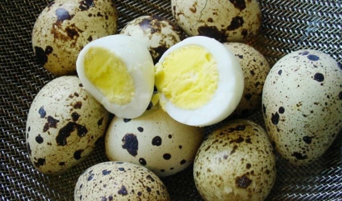 Сколько минут варить куриные и перепелиные яйца после закипания воды всмятку, вкрутую, в шелухе. как варить яйца на пасху? топ-5 рецептов