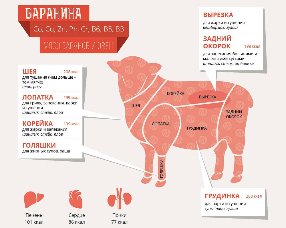 Чем вредна свинина: опасное воздействие мяса на организм человека, противопоказания к употреблению продукта