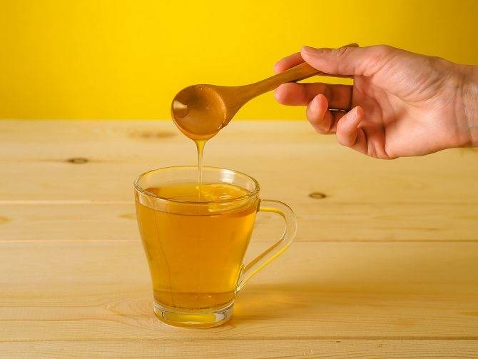 Польза и вред утреннего приема воды с медом натощак