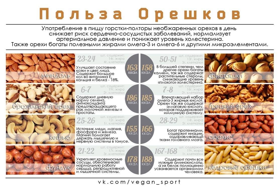 В чем польза грецких орехов для организма мужчин и женщин?
