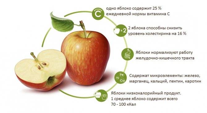 Особенности употребления сушеных яблок при грудном вскармливании. почему сухой фрукт полезнее свежего?
