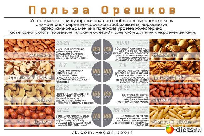Кедровые орехи: польза и вред для организма