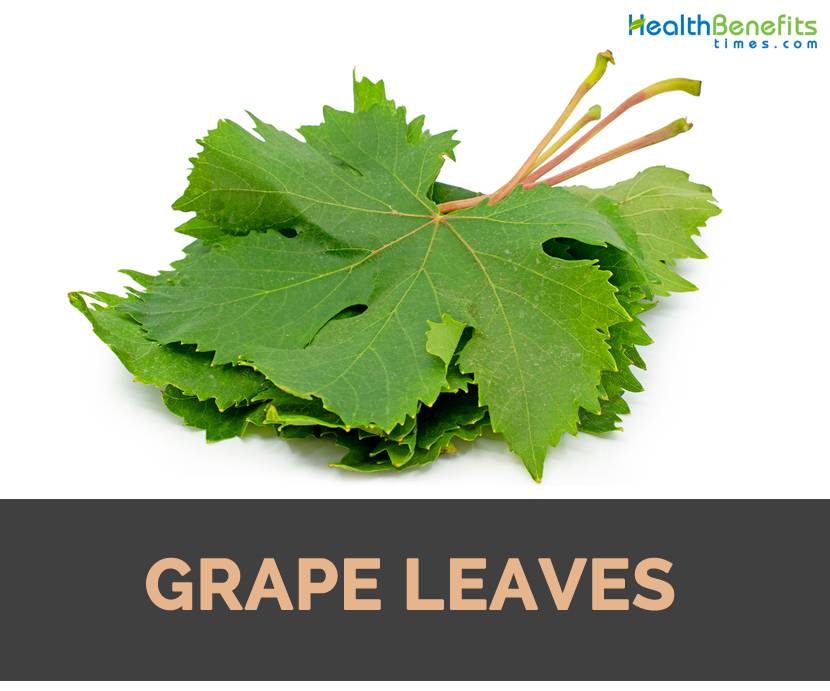 Виноградные листья польза и вред