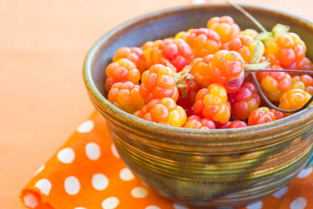 Лечебные свойства морошки и правила употребления царской ягоды