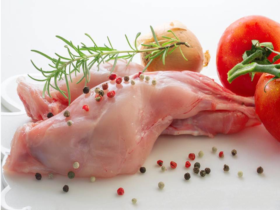 Мясо кролика — польза и вред для организма