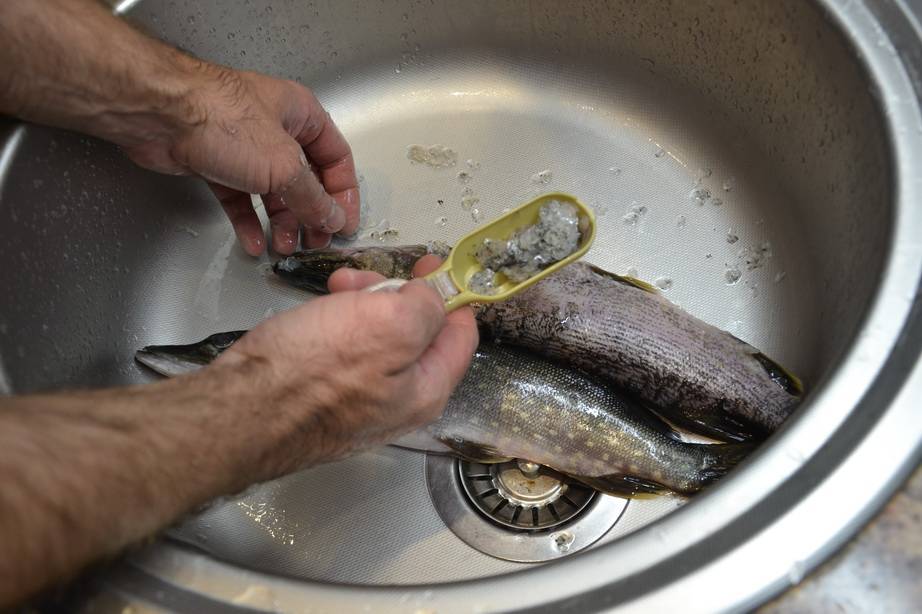 Как правильно почистить и разделать рыбу