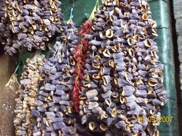 Как сушить баклажаны на зиму в домашних условиях, чипсы из баклажан — сусеки