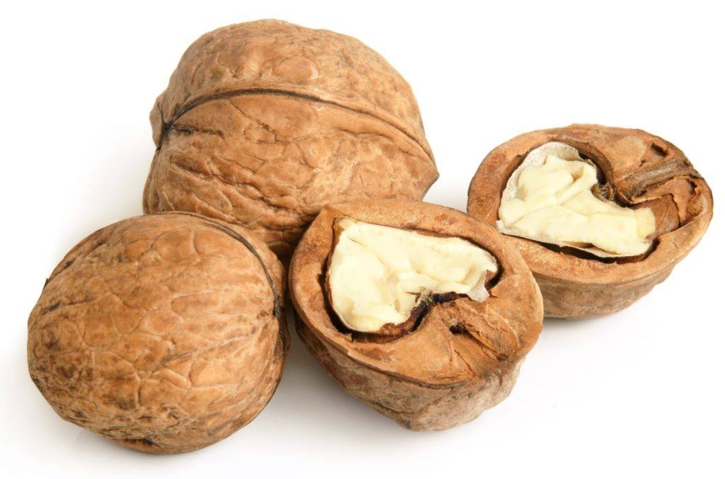 Чудодейственная шелуха — перегородки грецких орехов: лечебные свойства, противопоказания и способы употребления
