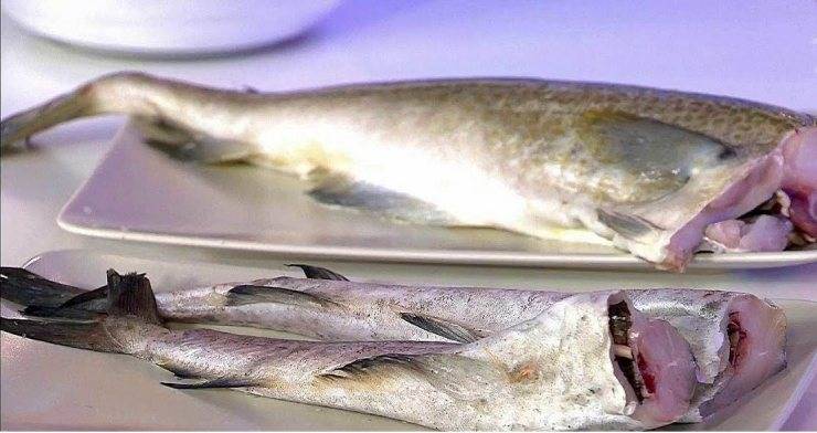 Хек: польза и вред для здоровья. диетическая рыба хек: польза и вред, особенности приготовления продукта