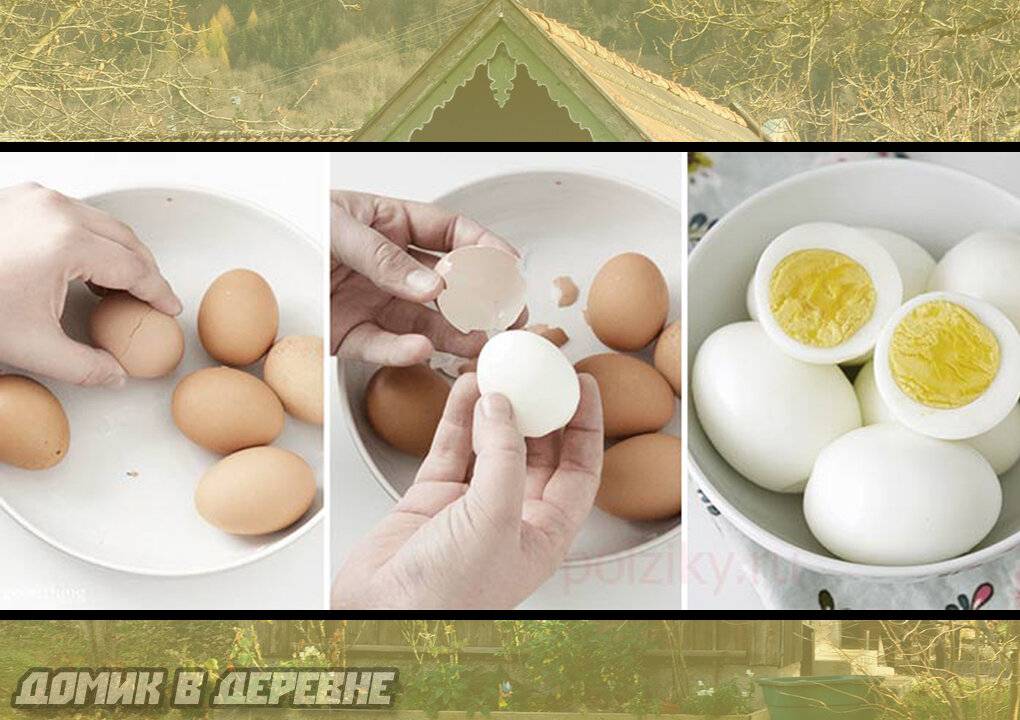 Как варить яйца, чтобы они хорошо чистились? секреты кулинаров