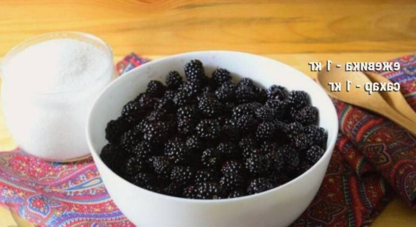 Варенье из ежевики на зиму - 5 простых рецептов с фото пошагово