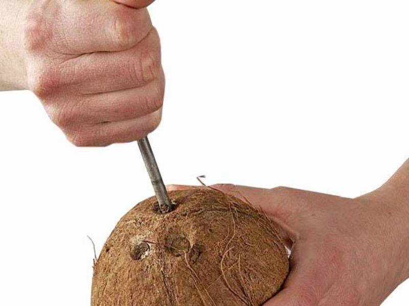 4 простых способа открыть кокос