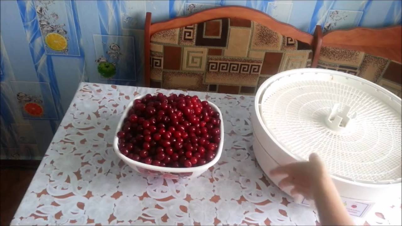 Как сушить вишню — пошаговая инструкция, свойства сухофрукта и лучшие рецепты приготовления сушеной вишни (135 фото)