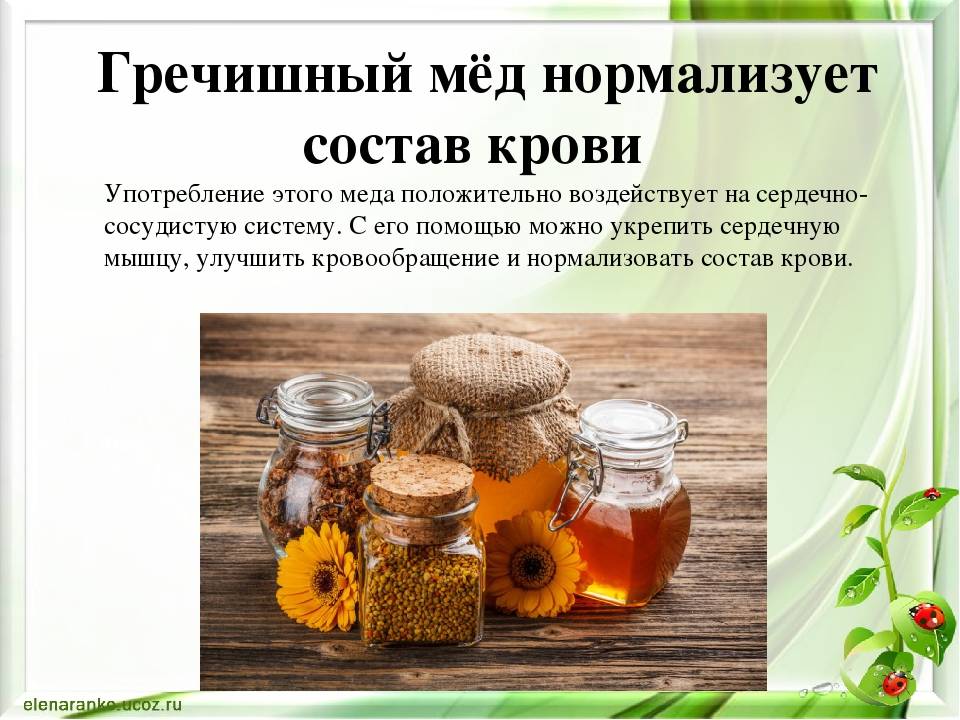 Гречишный мед: полезные свойства, противопоказания, польза и вред