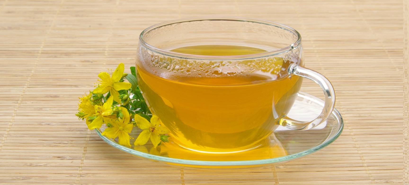Чай из зверобоя: польза и вред, способы приготовления