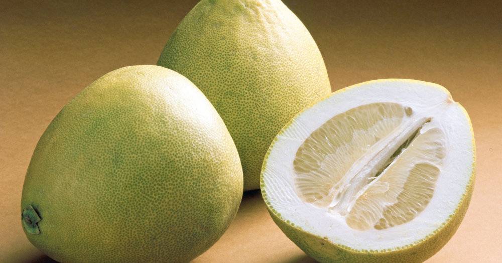 Польза и вред помело — 10 доказанных свойств фрукта для здоровья организма