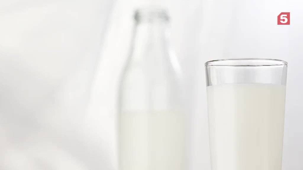 Полезные свойства и вред парного молока