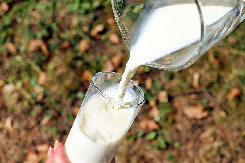 Можно ли пить молоко и кефир с похмелья?