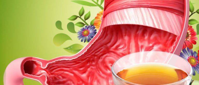 Монастырский травяной чай от панкреатита — рецепт и свойства