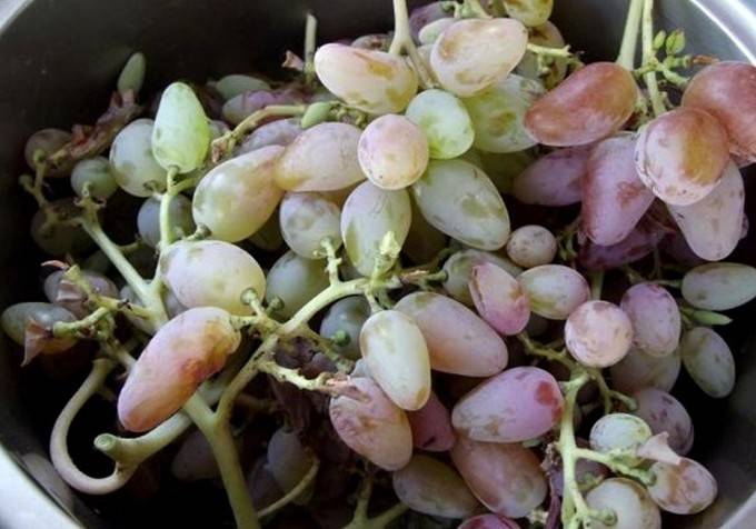 Косточки винограда: польза и вред