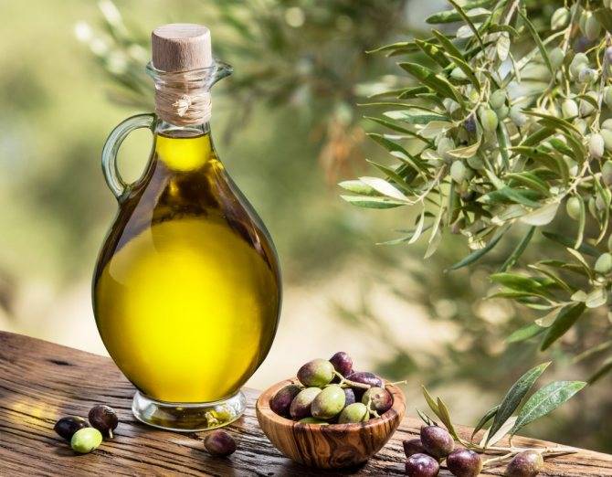 Оливковое масло: польза и вред