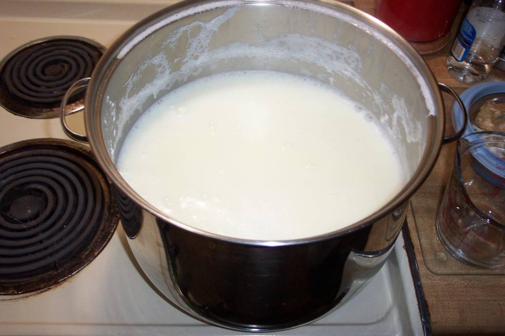 Сколько времени нужно кипятить молоко из-под коровы?