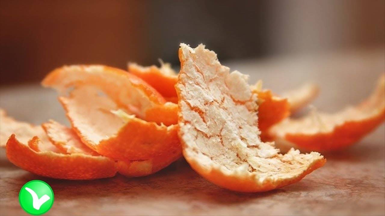 Апельсиновые корки польза и вред