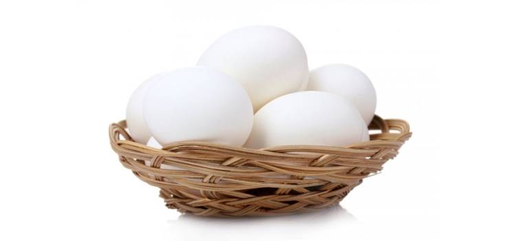 Какие яйца полезнее гусиные или куриные. вред продукта и противопоказания к его употреблению