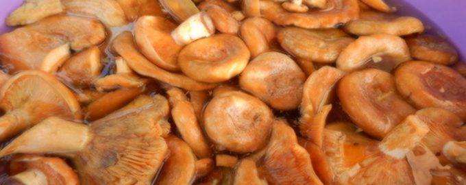 Как готовить грибы лисички, чтобы не горчили после заморозки