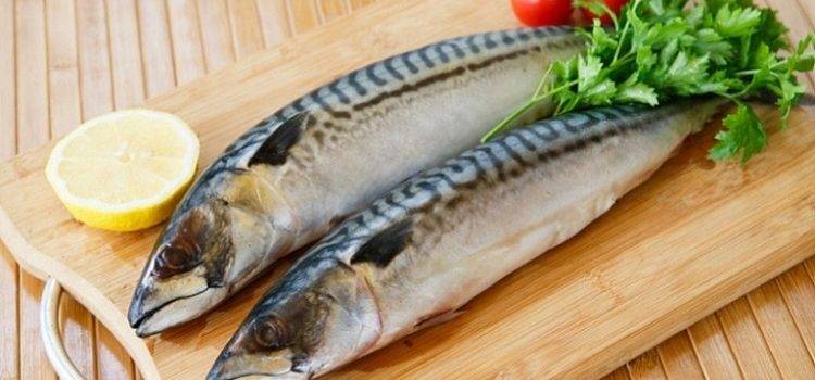 Рыба пеленгас: польза, калорийность | вкусные  рецепты