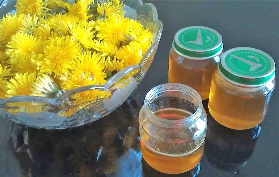 Целебная защита от болезней – мёд и варенье из одуванчиков