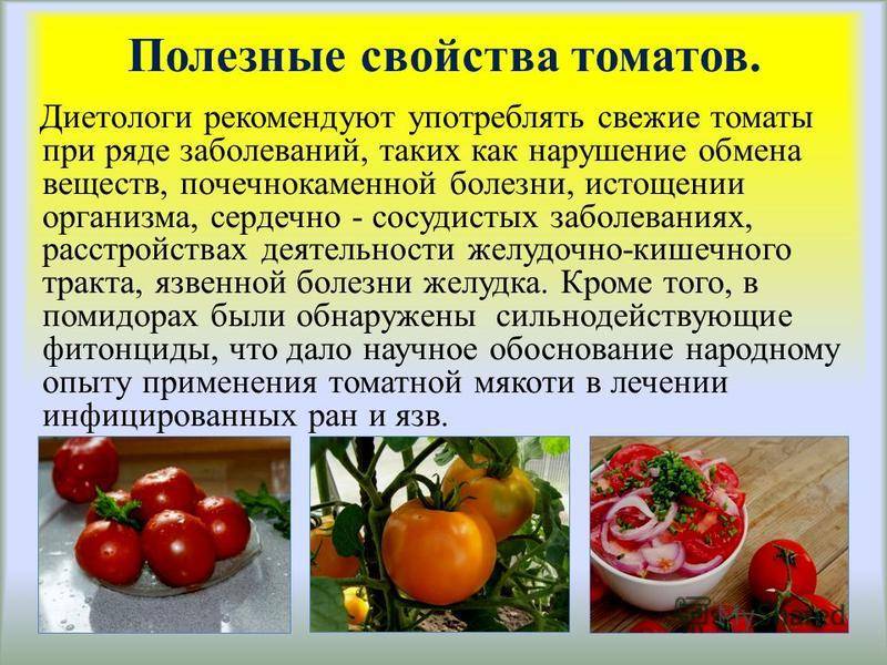 Можно ли есть зеленые помидоры: польза и вред для организма человека в свежем и соленом виде