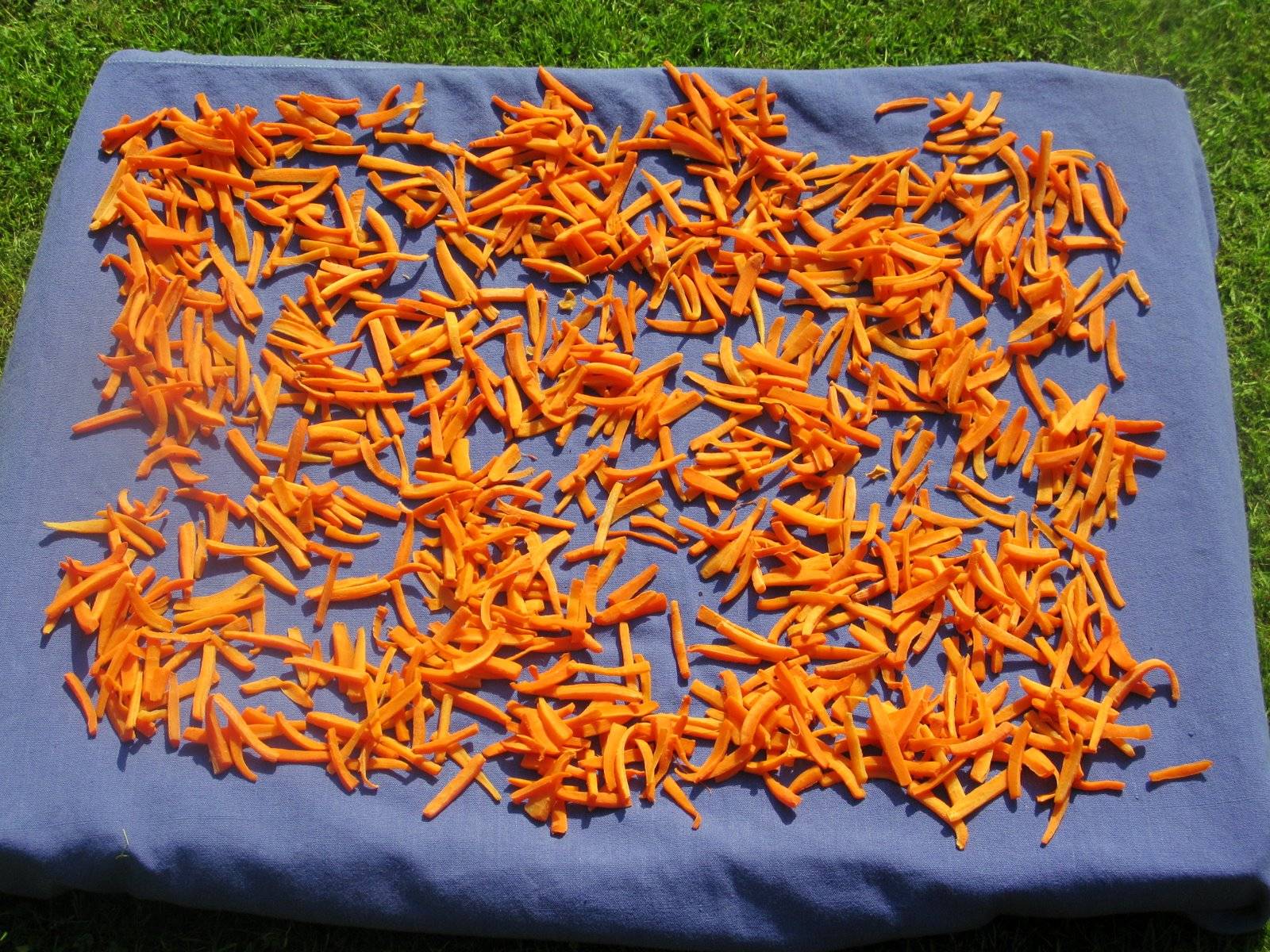 Как сушить морковь на зиму в домашних условиях? способы и рецепты
