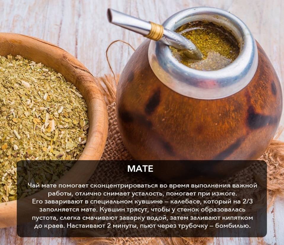 Чай мате — польза и вред. правила заваривания чая мате