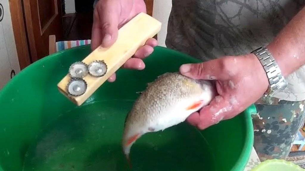 Как и чем быстро почистить рыбу от чешуи?
